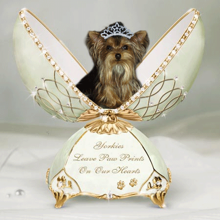 Yorkies for sale in texas, baby doll yorkies party yorkies, parti yorkies, yorkie puppies for sell, yorky for sale, yorky breeder, 