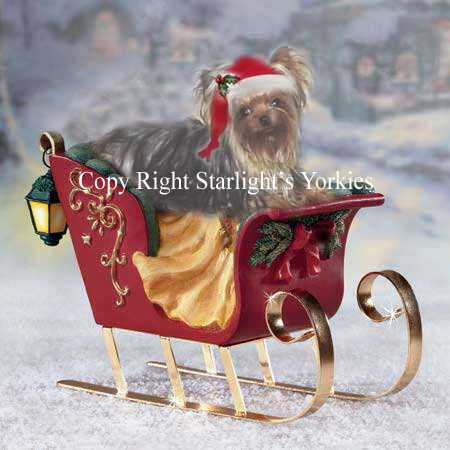 kies for sale, yorky for sale, party yorkies for sale, maltese for sale, tcup yorkies for sale, tiny yorkies for sale, yorkie puppies for sale, yorkie puppy for sale ca, yorkshire terrier for sale canada, maltese for sale tx, baby doll face yorkies, baby doll face maltese, apple head yorkies, apple head yorkies for sale ca, tcup maltese for sale co, dog clothes for sale, dog tutu, dog dresses for sale, fancy dog clothes, fancy dog dress for sale, dog shop, akc maltese for sale, akc maltese tx, yorkshire terrier for sale ,yorkshire terrier puppies for sale canada, baby face yorkie, 